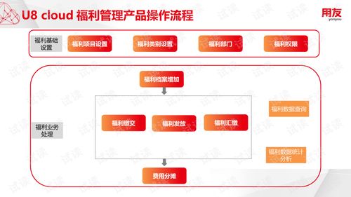 U8Cloud實施工具與薪酬福利管理 非學歷職業(yè)技能培訓的文檔資源指南